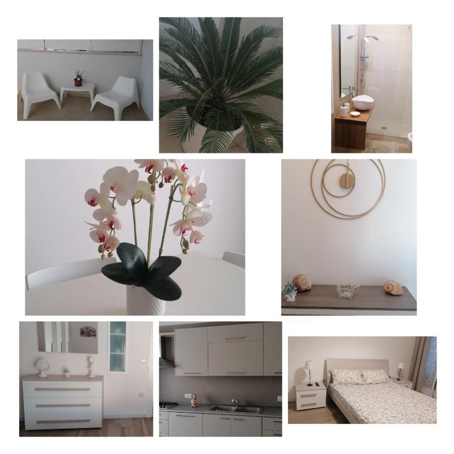 La Casa Dei Coralli - Puglia Mia Apartments 모노폴리 외부 사진